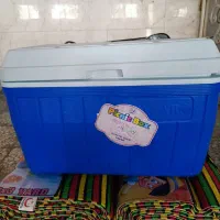 کلمن برند ساراب