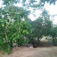 فروش باغ