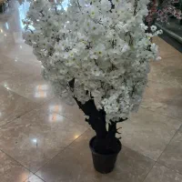 گل مصنوعی شکوفه|گل مصنوعی|گرگان, |دیوار