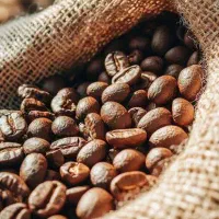 فروش دان قهوه