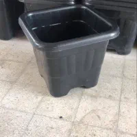 پخش انواع گلدان پلاستیکی کشاورزی و زینتی|گل و گیاه طبیعی|رشت, پل تالشان|دیوار