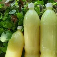 ابلیمو طبیعی و باکیفیت