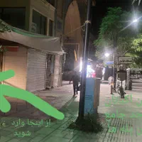 چراغ نفتی روشنایی چراغ گرد سوز|لامپ و چراغ|همدان, |دیوار