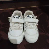 فروش چند مدل کفش|کیف، کفش، کمربند|علی‌آباد کتول, |دیوار