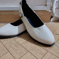 کفش کرم سایز ۳۸