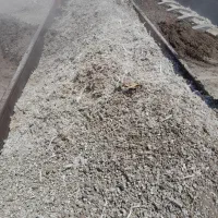 کود مرغ مرغی گاو گاوی حیوانی و فاضلابی