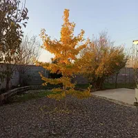 خانه ویلایی