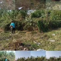 علفزنی و لی زنی وتمشک زنی وعلفتراشی