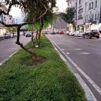 اجاره واحد اداری تجاری در خیابان معلم