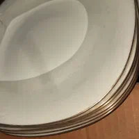 ارکوپال ساده و دور طلایی