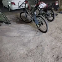 دوچرخه|دوچرخه، اسکیت، اسکوتر|پاکدشت, حصار امیر|دیوار