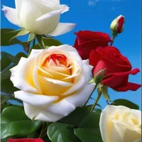 نیازمند وام ازدواج