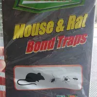 چسب موش گیرا