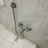 4 عدد شیر همراه سینگ