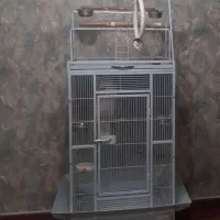 قفس پرنده
