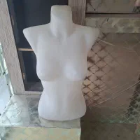 مانکن|بندرخت و رخت‌آویز|ساوه, |دیوار