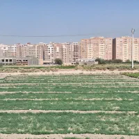 زمین-355-متری-آینده-دار-مناسب-سرمایه-گذاری-جی