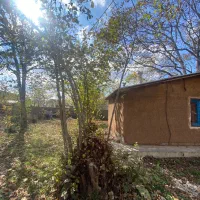 اجاره کلبه ویسر|اجارهٔ خانه و ویلا|کجور, |دیوار