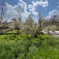 فروش زمین ۱۶۰ متری فاز ۲ دادگستری کوچه ۲