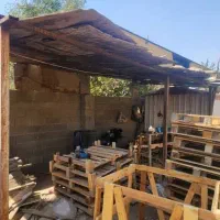 فروش کارگاه گچی شهرک صنعتی|فروش دفتر صنعتی، کشاورزی، تجاری|شیراز, گچی|دیوار