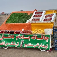 چهار چرخ بساط قاری