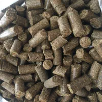 دان مرغ گوشتی