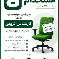 کارشناس فروش ، ویزیتور