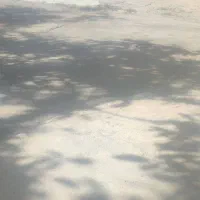 اجاره منزل مسکونی