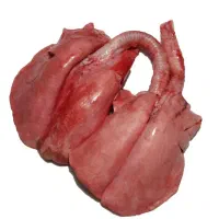 جیگر سفید تازه