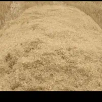 کاه گندم نرم یکجا جمع شده