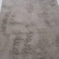 فرش شگی ۴ متری|فرش|شیراز, چوگیاه|دیوار