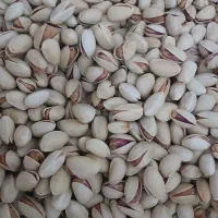 پسته احمد آقایی