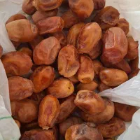 خرمای زاهدی