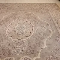 فرش|فرش|تربت جام, شهید مدرس|دیوار