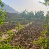 2500-متر-باغ-با-یک-ساعت-اب-و-امکان-گلخانه-شدن-هست