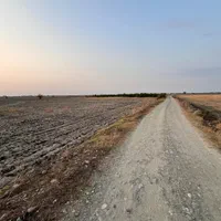 پنج هزار متر زمین کشاورزی پشت هتل عمارت سفید|فروش زمین و ملک کلنگی|کردکوی, |دیوار
