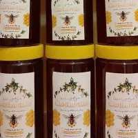 عسل صد در صد طبیعی کنار وحشی هرمزگان و ژل رویال