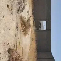 زمین-فروشی