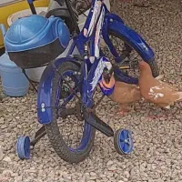 ماشین شارژی ،دوچرخه