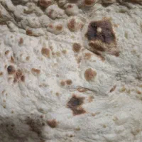 نان تنوری خانگی|خوردنی و آشامیدنی|اهواز, شهرک رزمندگان|دیوار