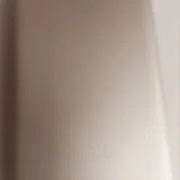 پاور بانک شیامی