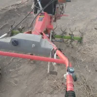 تیلر کاما کاما اورجینال