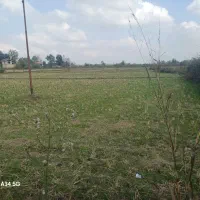 شالیزار سنتی چسبیده به خونه مسکونی|فروش زمین و ملک کلنگی|رشت, بازار|دیوار