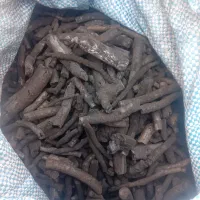زغال کبابی سرشاخه پسته