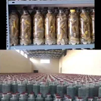 تولید وپخش خیارشور