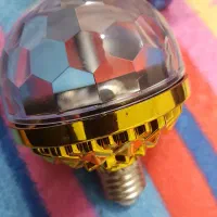 رقص نور|ریسه و چراغ تزئینی|فولادشهر, C8|دیوار