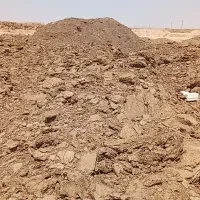 کود گوسفندی|گل و گیاه طبیعی|اصفهان, باغ فدک|دیوار