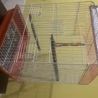 قفس عروس هلندی،کوتوله برزیلی و...