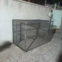 قفس کبوتر و حیوون