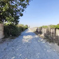 زمین ۱۲۵۰ متری، بر اصلی خ ولی‌عصر، اسکمان شهریار|فروش زمین و ملک کلنگی|شهریار, اسکمان|دیوار